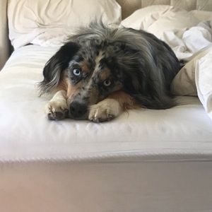 Meet your Posher, Paul